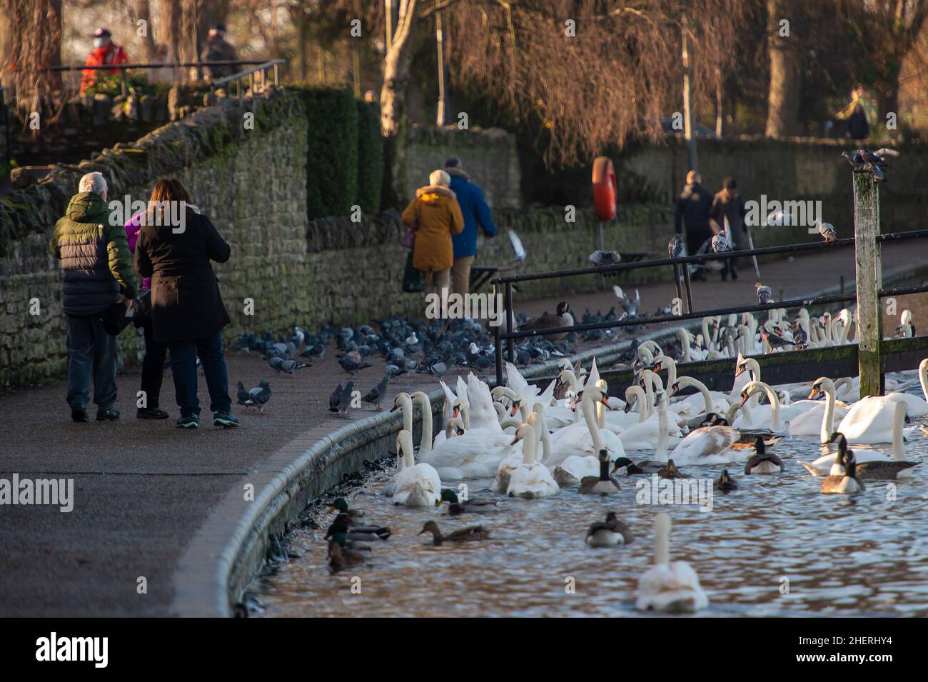Dyers wharf hires stock photography and images Alamy