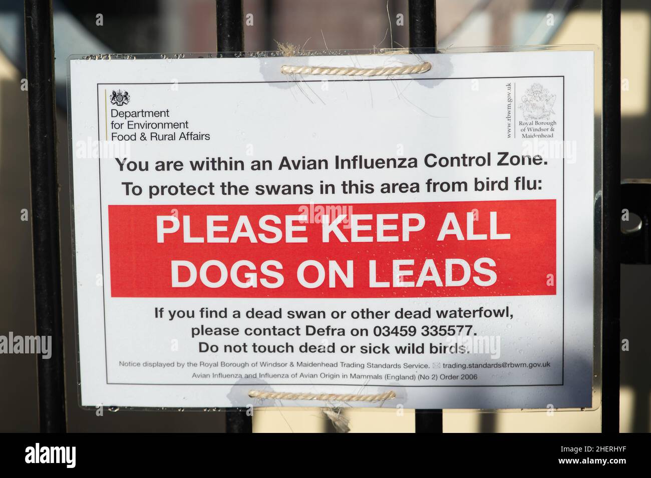 Avian influenza uk 2022 hires stock photography and images Alamy