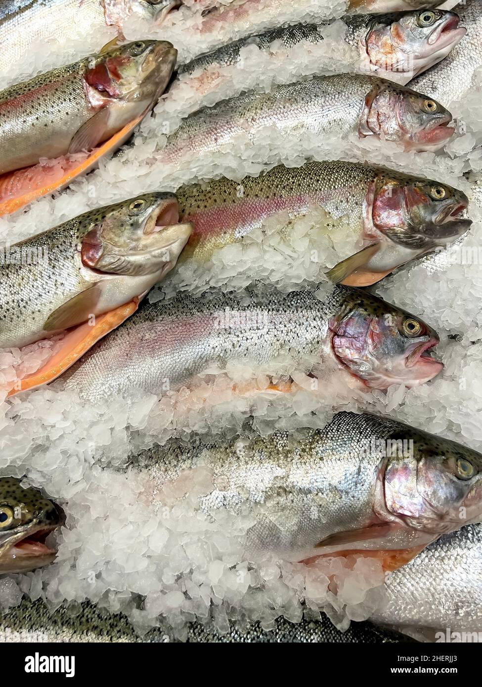 Fresh rainbow trout on the counter in the store  Stock Photo