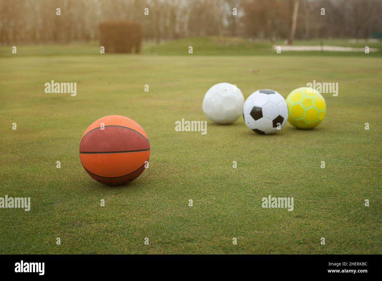 Various sports balls on grass field Stock Photo Alamy