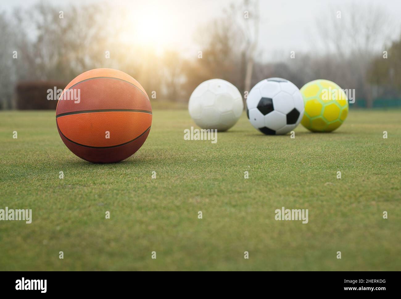 Various sports balls on grass field Stock Photo Alamy