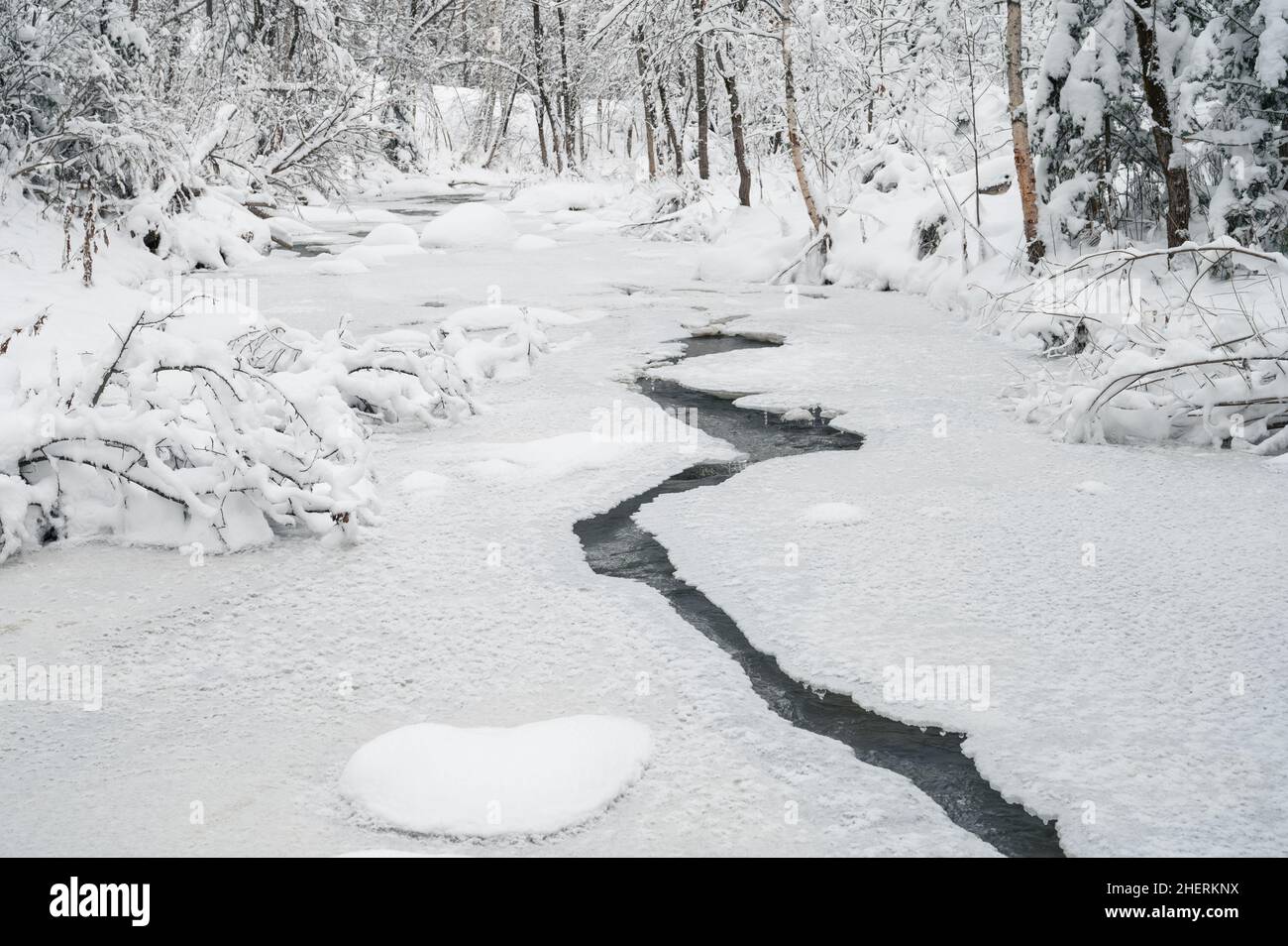Beauty winter landscape with fair trees and river under the snow Stock ...