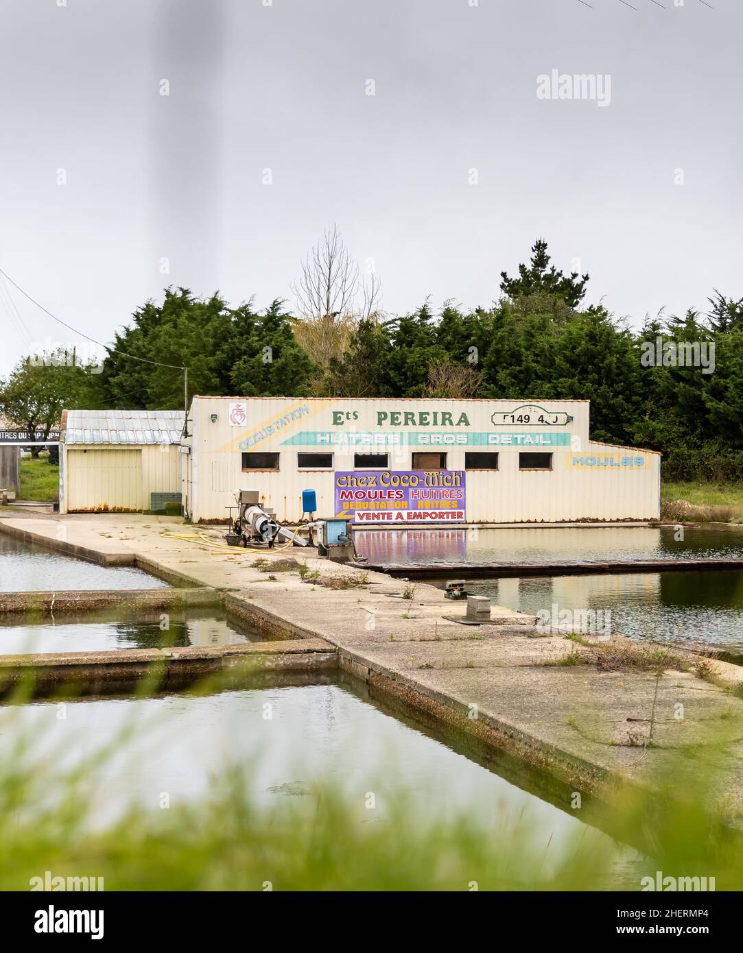 La Barre de Monts, France, September 28, 2020: facade of the company Pereira producer in seller of oysters and mussels in the oyster park of the villa Stock Photo