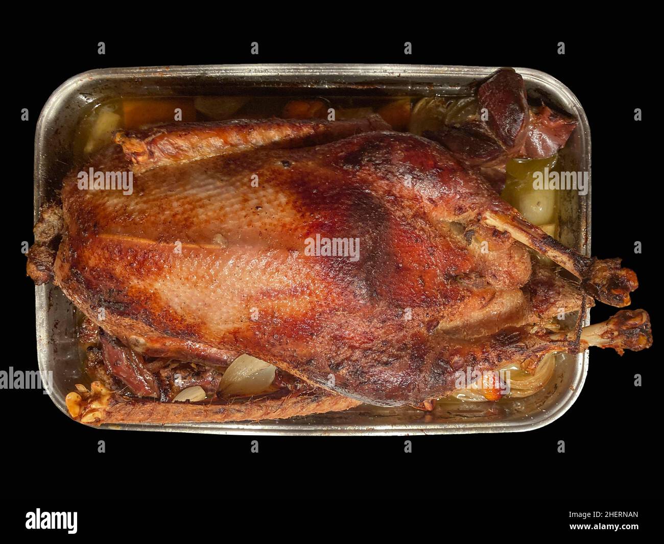 Freshly roasted goose from the oven, Mecklenburg-Vorpommern, Germany Stock Photo