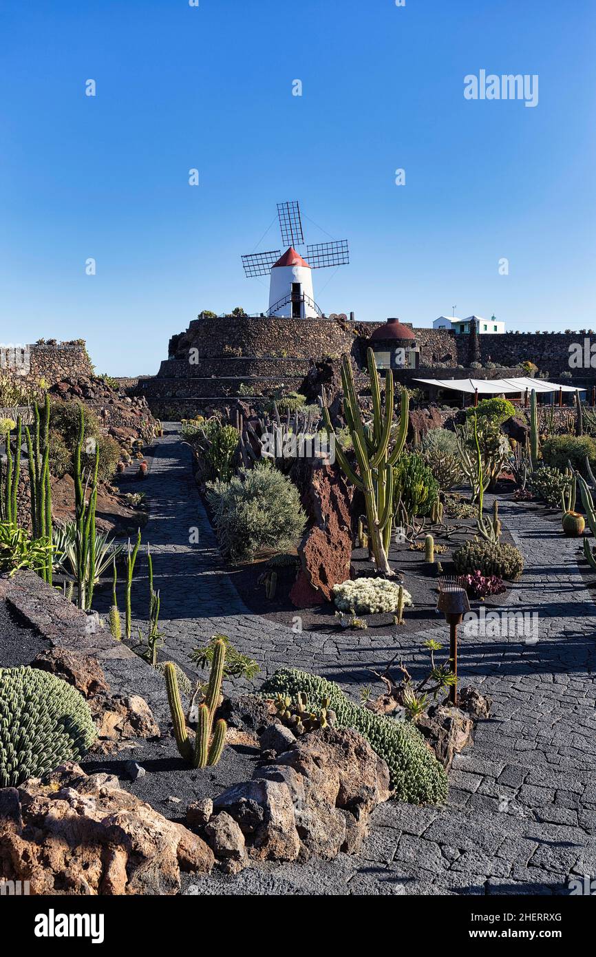 Jardin de Cactus, cacti and succulent garden with windmill, artist ...