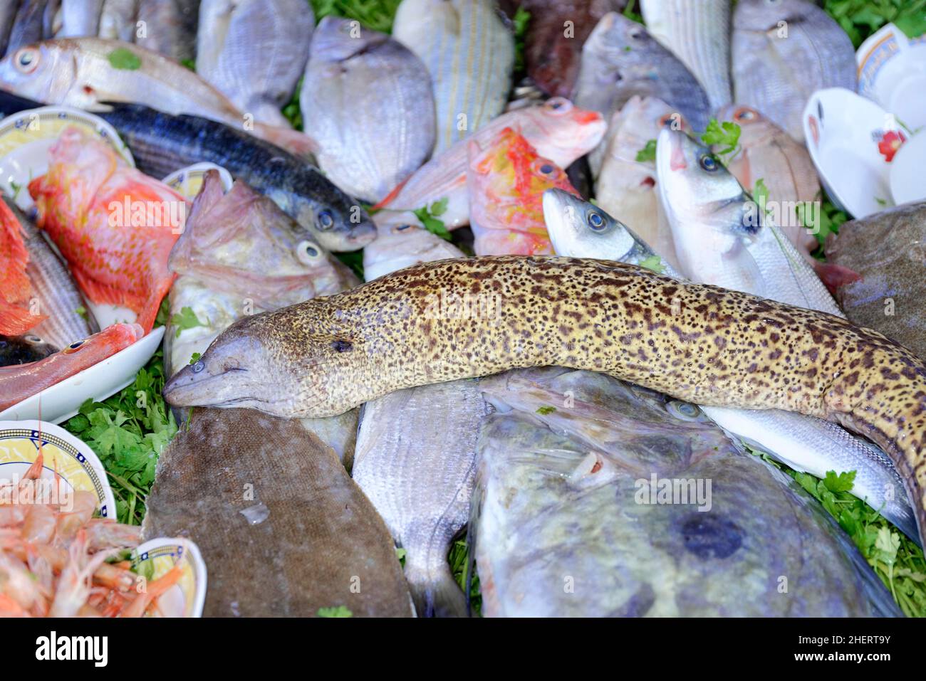 Seafood, Fish, Fish restaurant, Port, Essaouira, Morocco Stock Photo