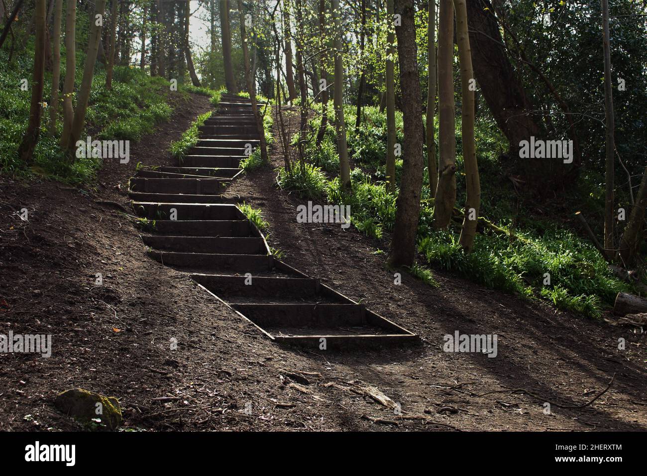 Stairway to heaven hike hi-res stock photography and images - Alamy