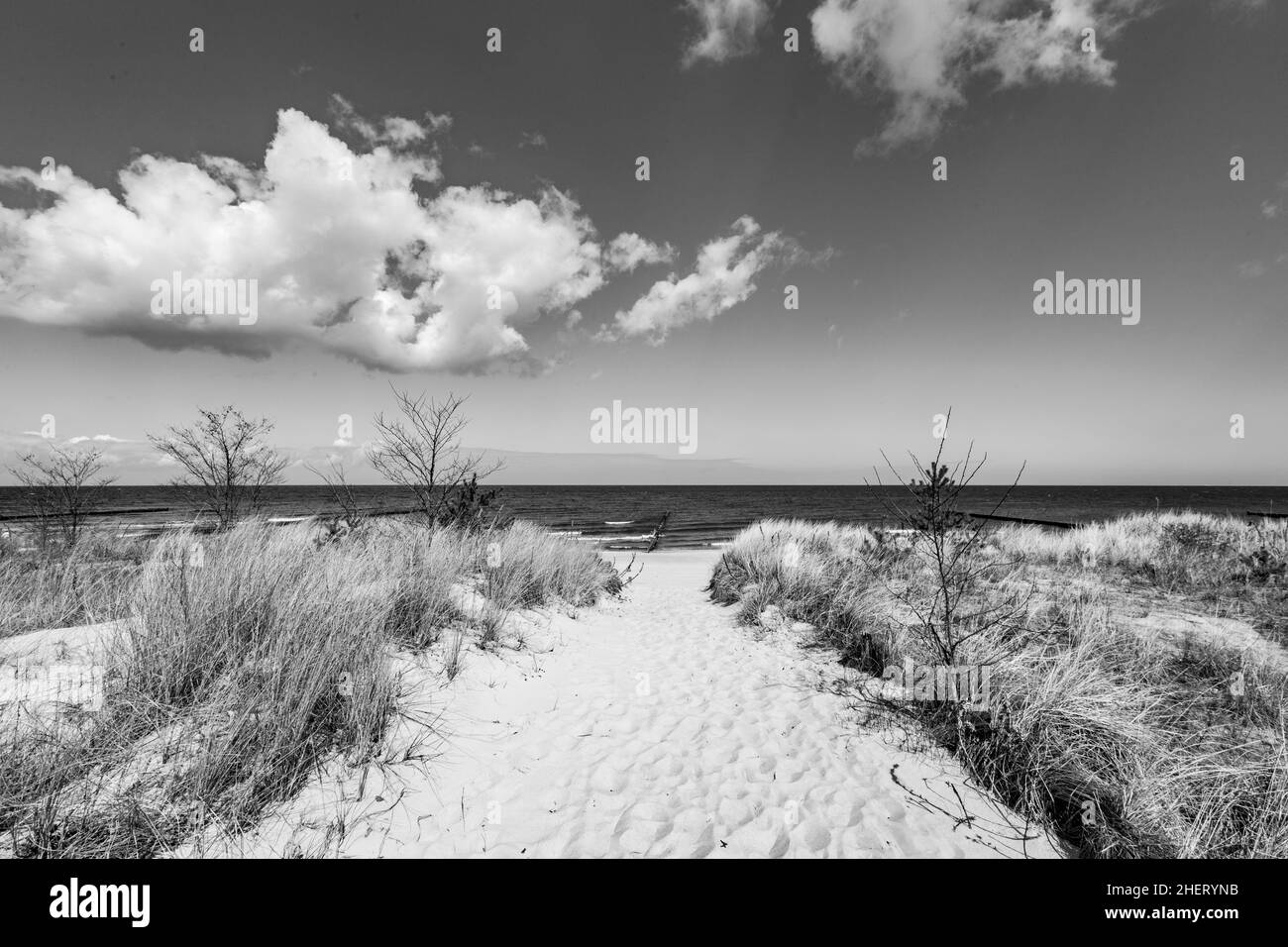 levee with sandy path to beach at baltic sea Stock Photo