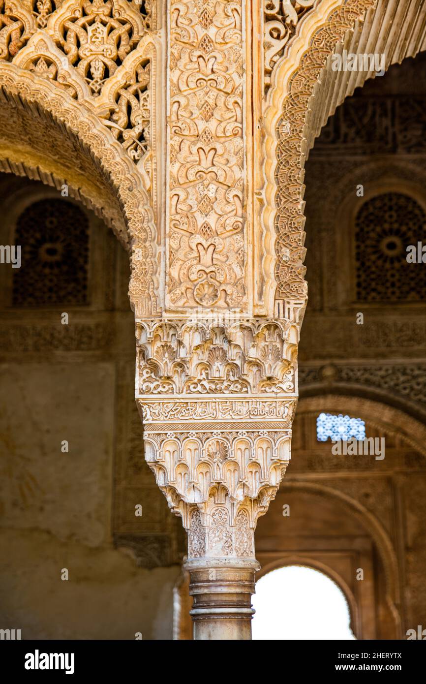 Column, Generalife, summer palace of the Moorish rulers, oldest