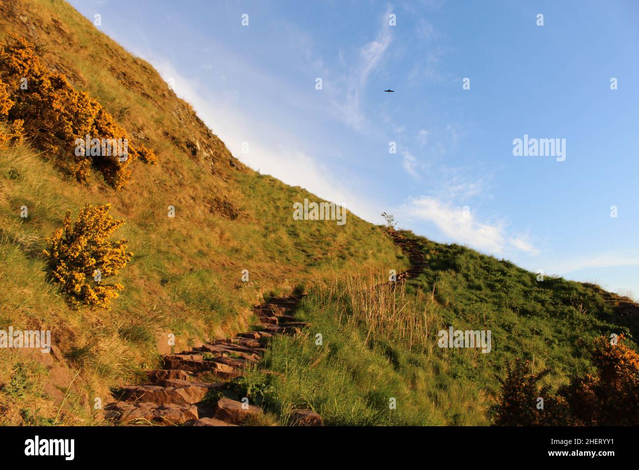 Stone path on a hill at sunset (Arthur's Seat, Edinburgh, Scotland) Stock Photo