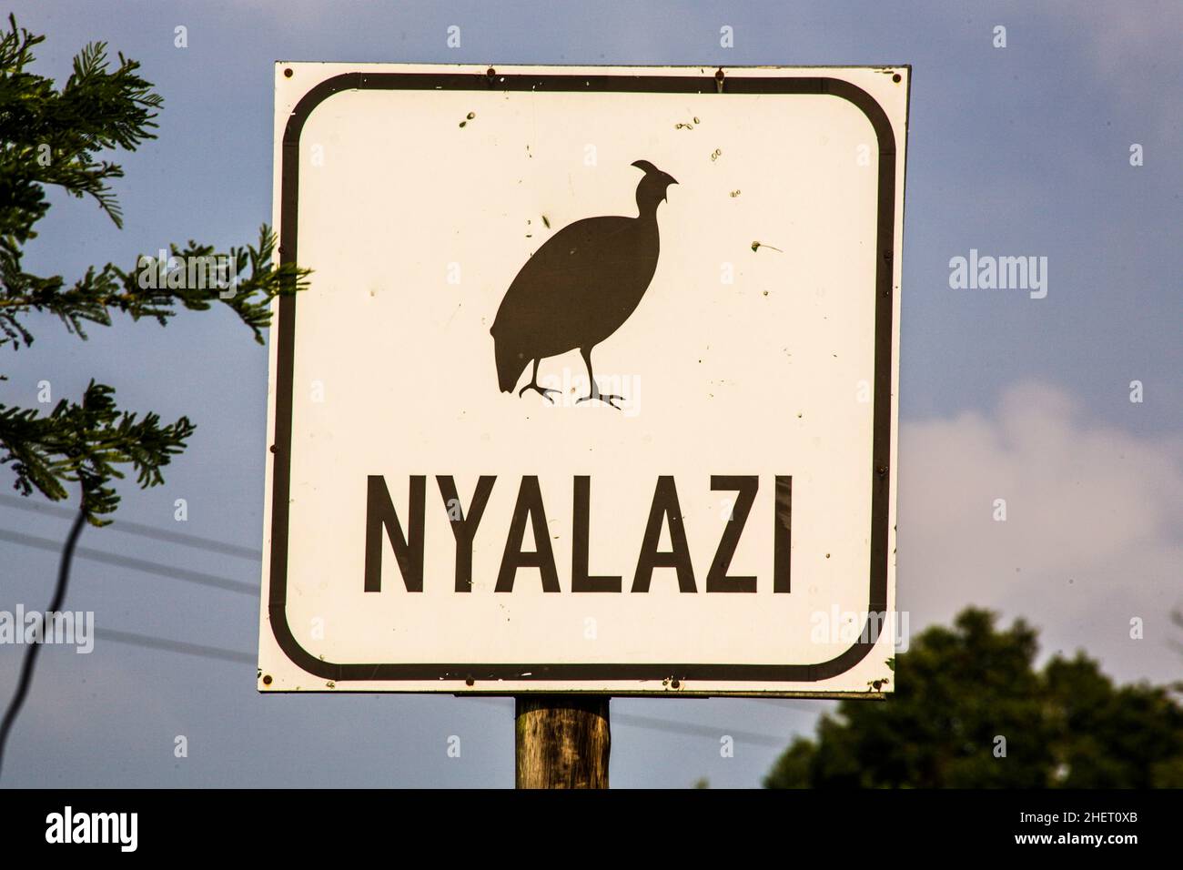 Guinea fowl sign, Hluhluwe-iMfolozi National Park, South Africa Stock ...