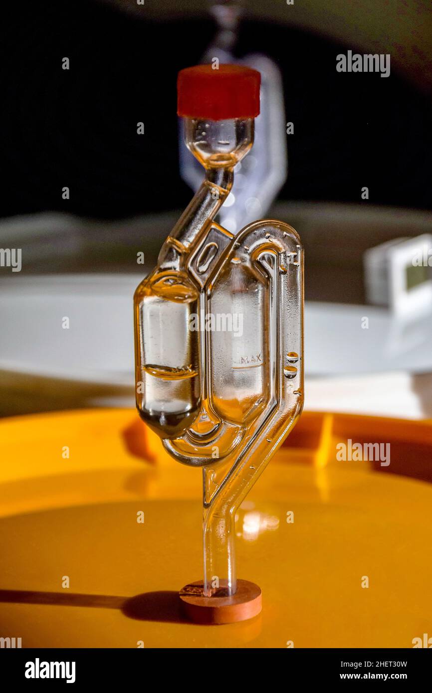 Glass trap with air bubbles. The process of fermentation of homemade