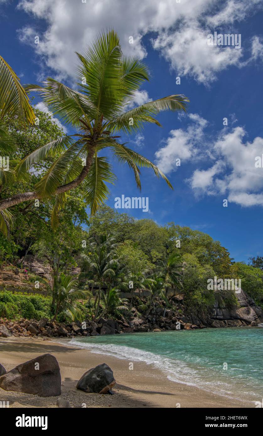 Small beach with palm tree and tropical foliage west coast Mahe Seychelles Stock Photo