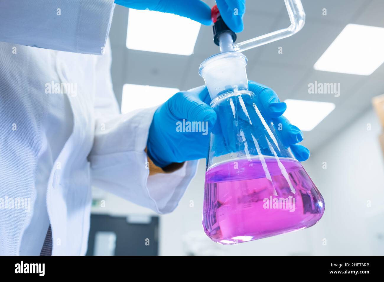 Close up scientist uses a titration method of analysis to study the chemical properties of the water sample. Scientist holding Erlenmeyer flask with pink solution Stock Photo