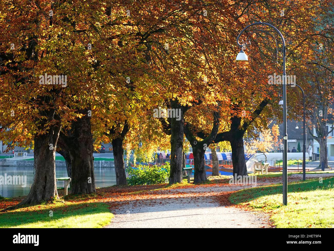 Autumn colours at Bled resort, Slovenja, Europe Stock Photo