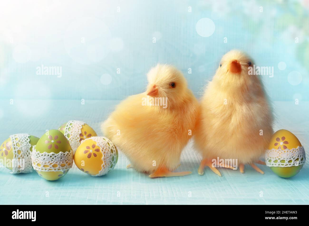 Easter composition with Colorful Easter eggs, chicks on blue background. Easter concept. Stock Photo
