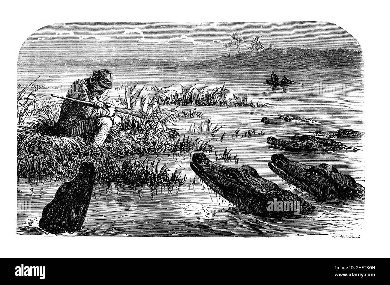 David Livingstone surrounded by Crocodiles, 1867 line illlustration from David Livingstone, the story of his life and Labours, the Weaver-Boy who beca Stock Photo