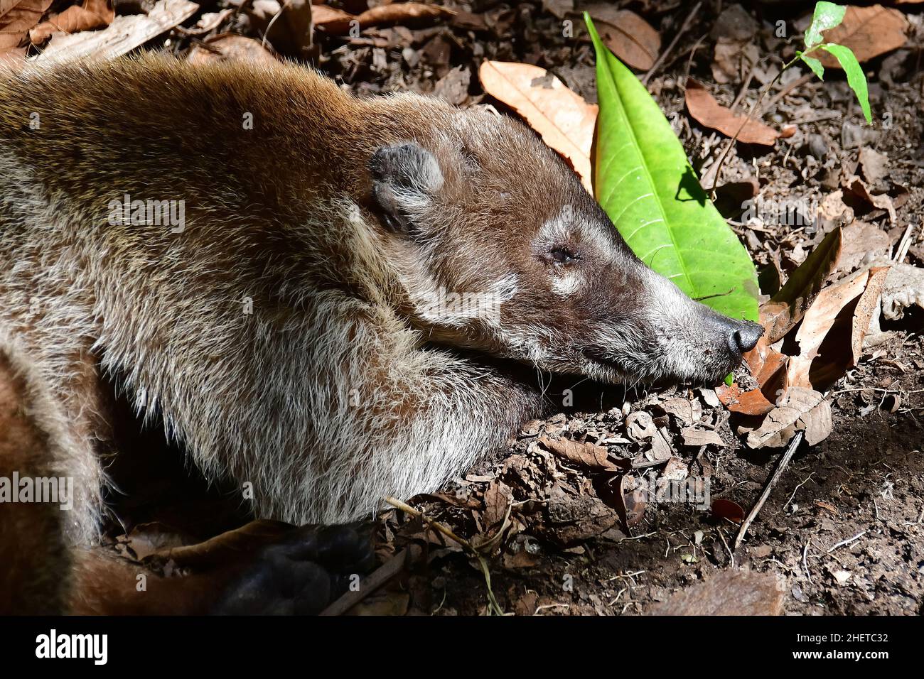 Lat 17 99922600 hi-res stock photography and images - Alamy