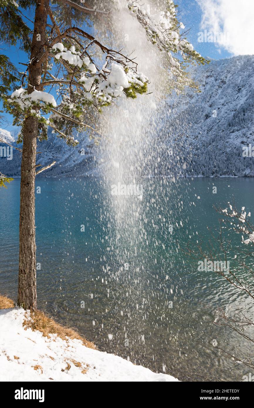 snow fall down from tree at lake in winter landscape Stock Photo