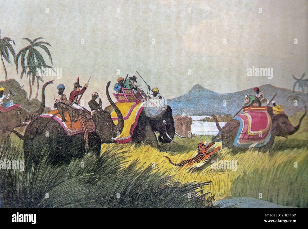 TIGER HUNT IN INDIA about 1820 Stock Photo Alamy
