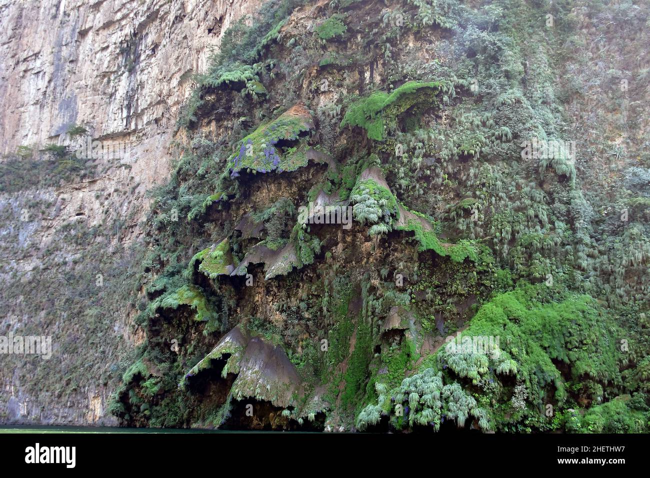 Sumidero Canyon National Park, state of Chiapas, Mexico, North America, Ramsar Wetland Stock Photo