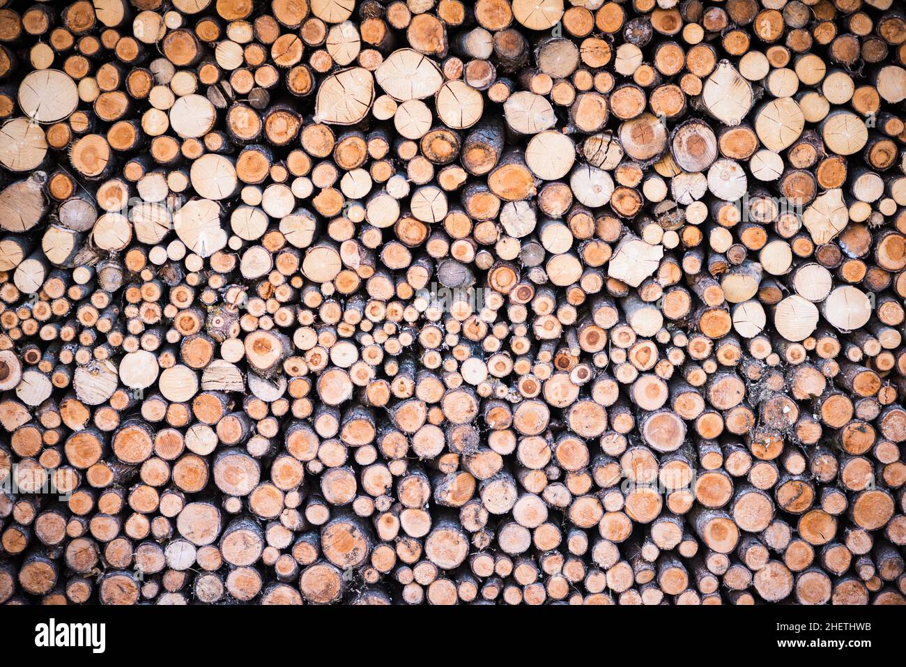 stack of round cutted firewood pieces as background texture Stock Photo