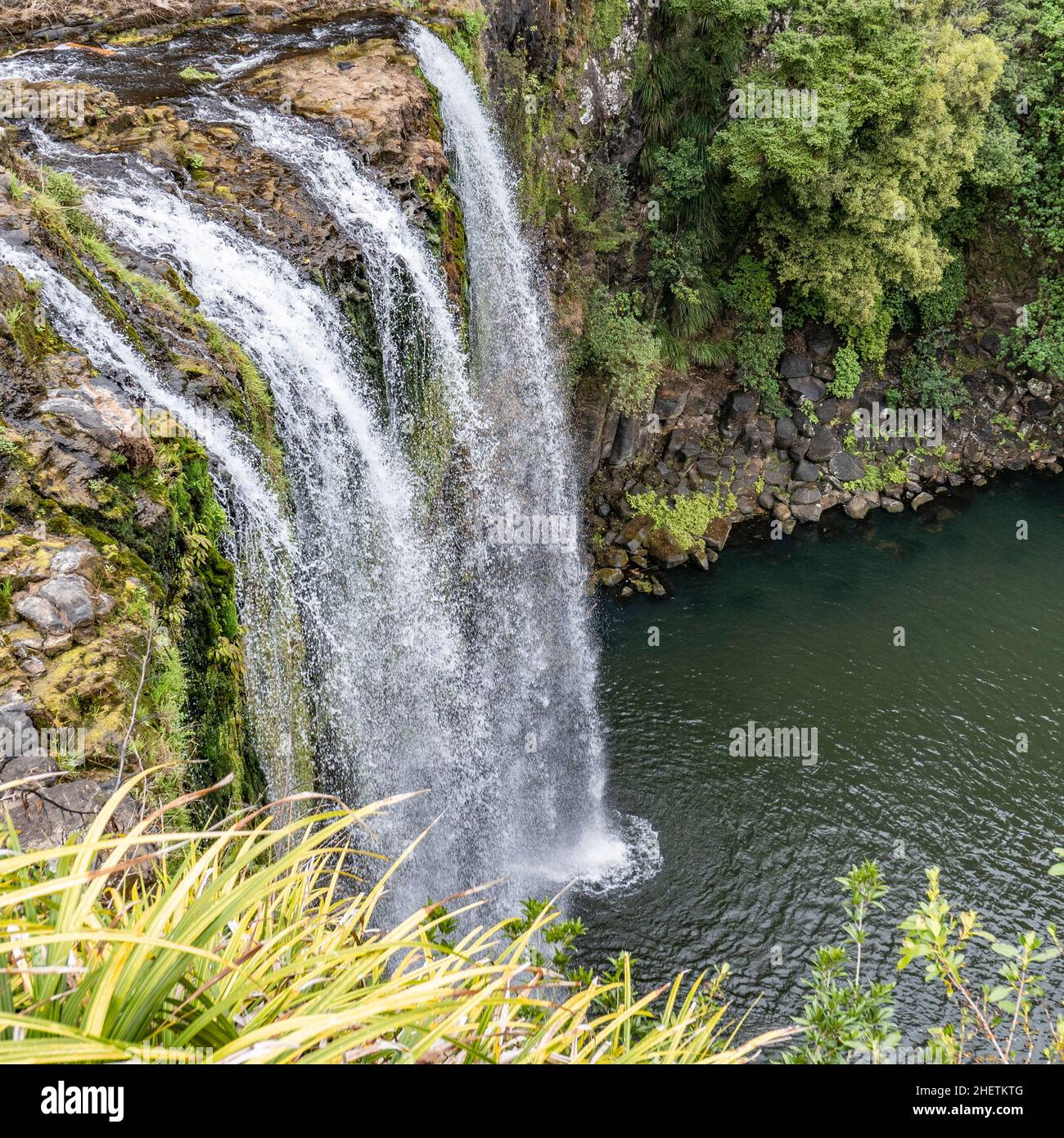 Whangarei Falls Located in the Whangarei Scenic Reserve on the Hatea River in New Sealand Stock Photo