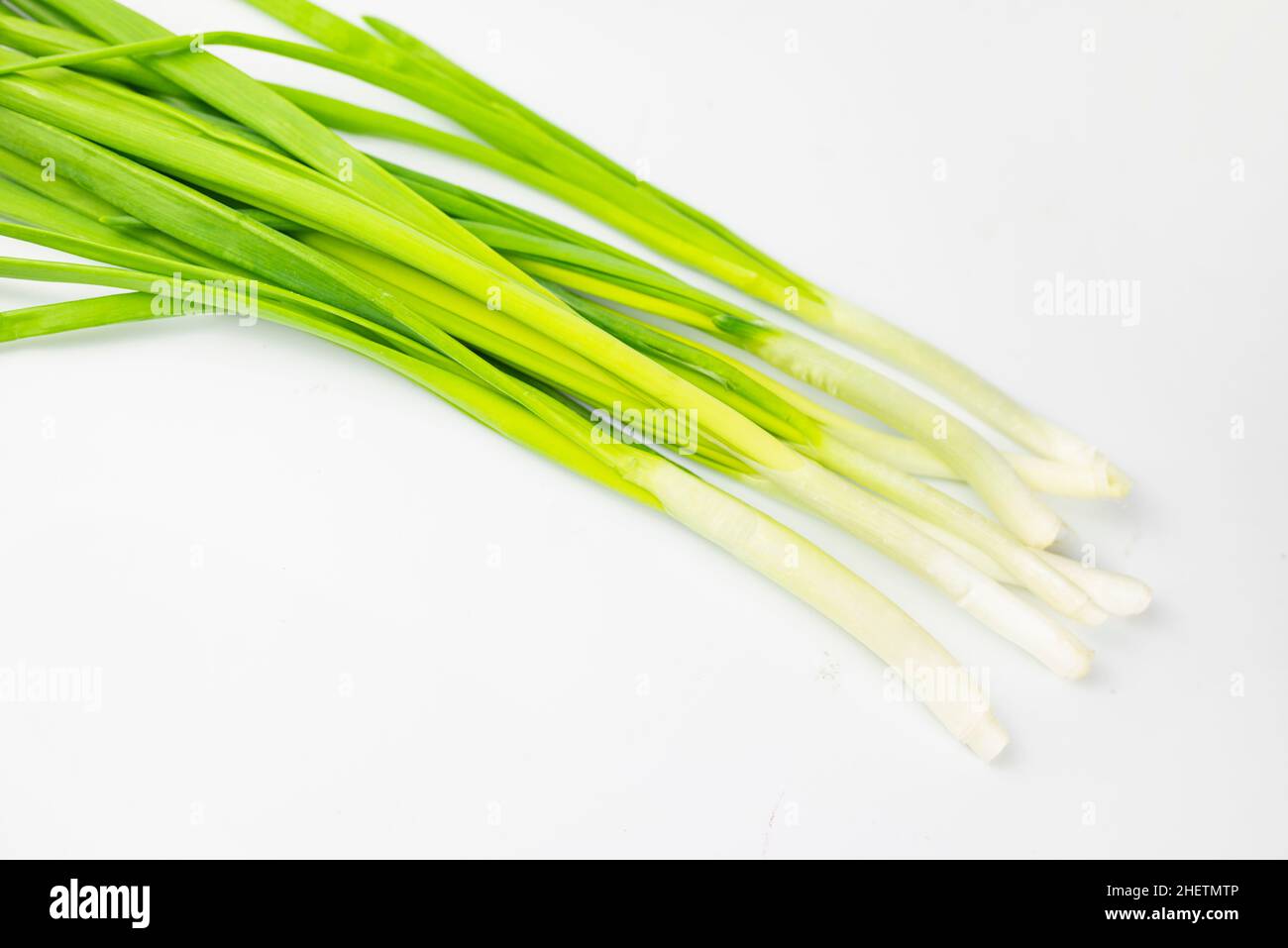 Set onions in the spring hi-res stock photography and images - Alamy