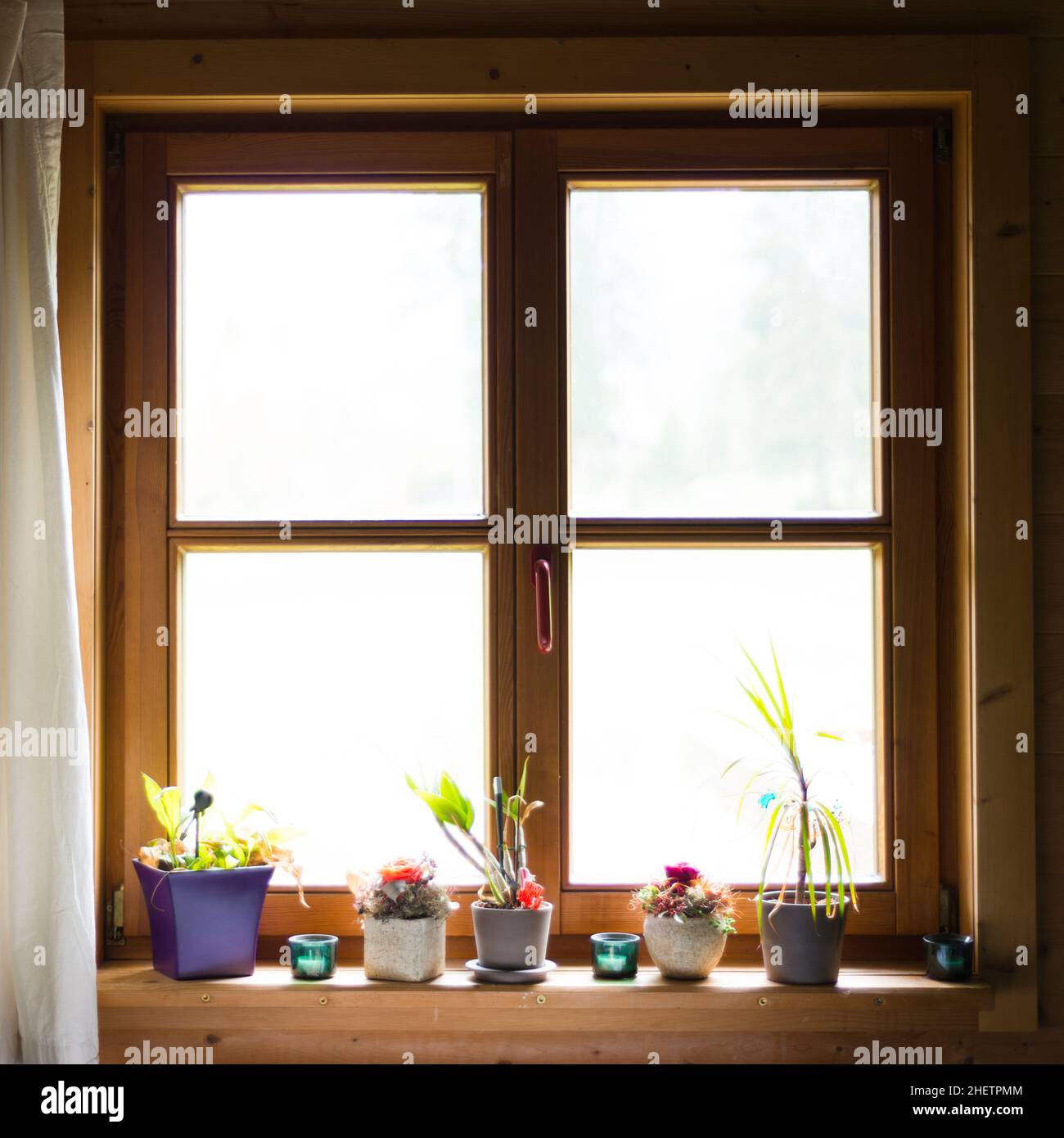 wooden window with flowers on ledge Stock Photo Alamy