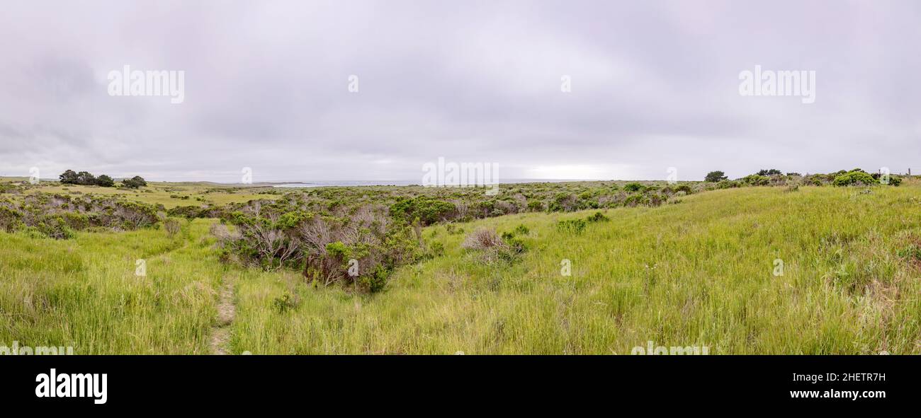 cabrillo highway with green meadows in California, USA Stock Photo