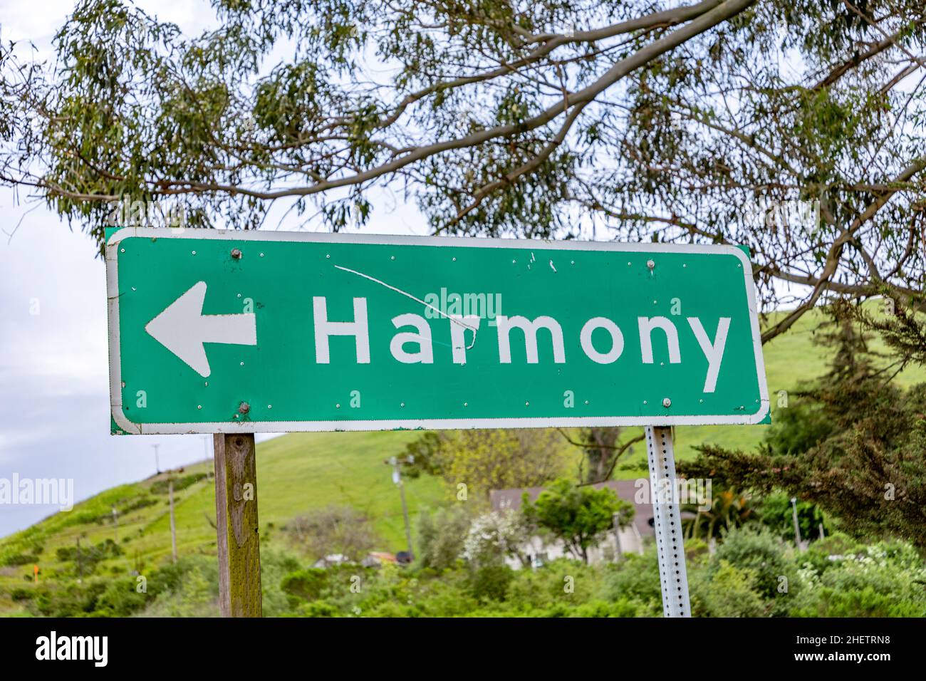 street sign harmony at a green sign at Cabrillo Highway Stock Photo
