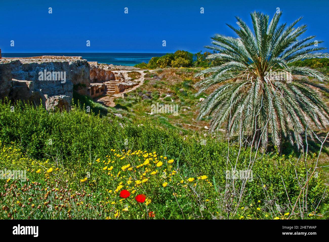 Places of necropolis hi-res stock photography and images - Alamy