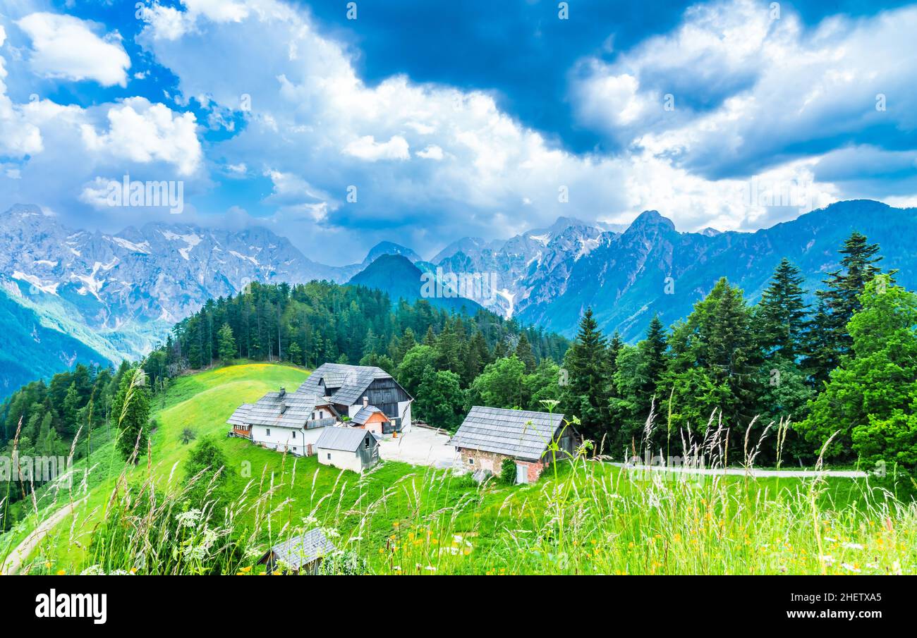 Mountain landscape, Alps in Slovenia with farm next to Logarska dolina Stock Photo