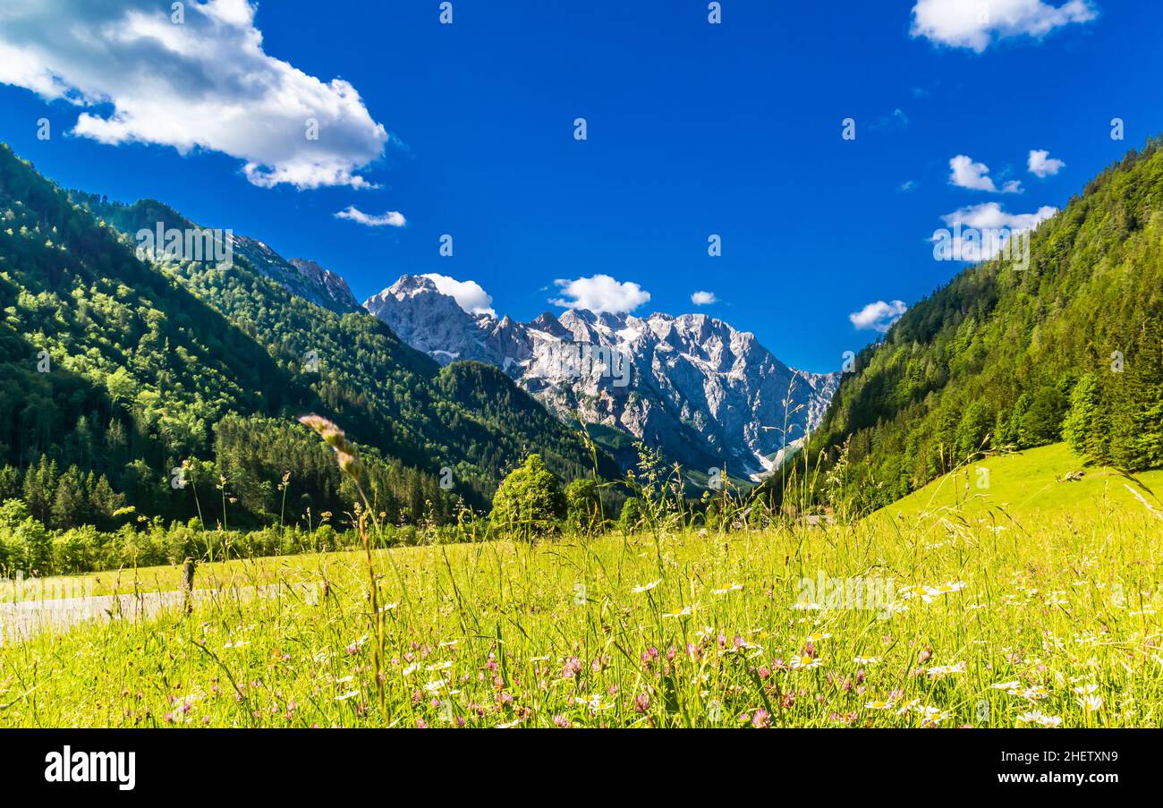 Logar valley or Logarska dolina in the Alps of Slovenia. High quality ...