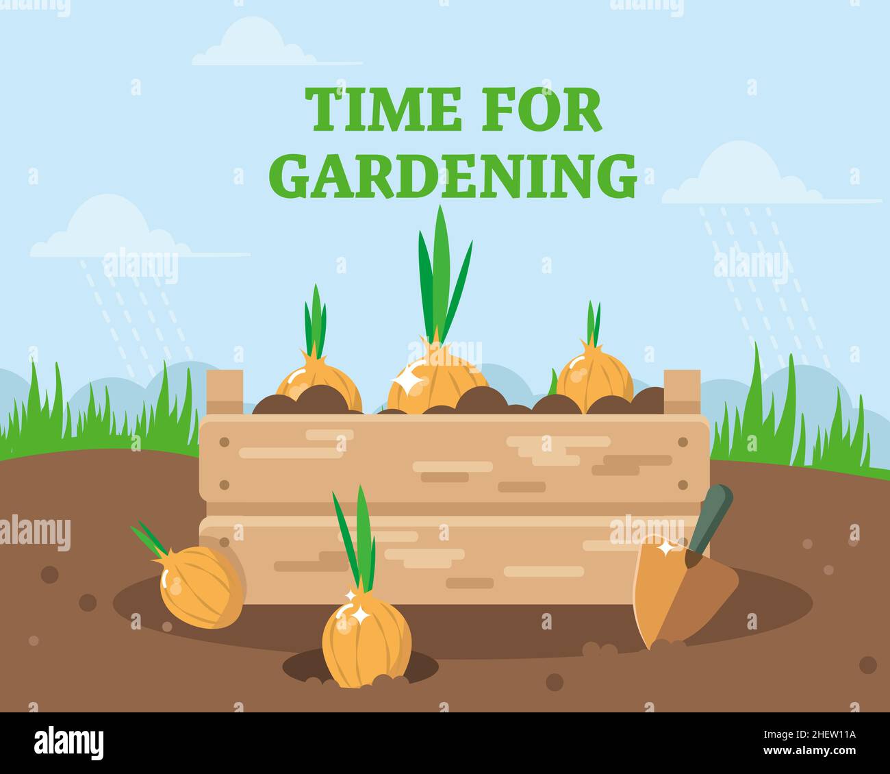 Time for gardening. A box with planted onions. Vector illustration