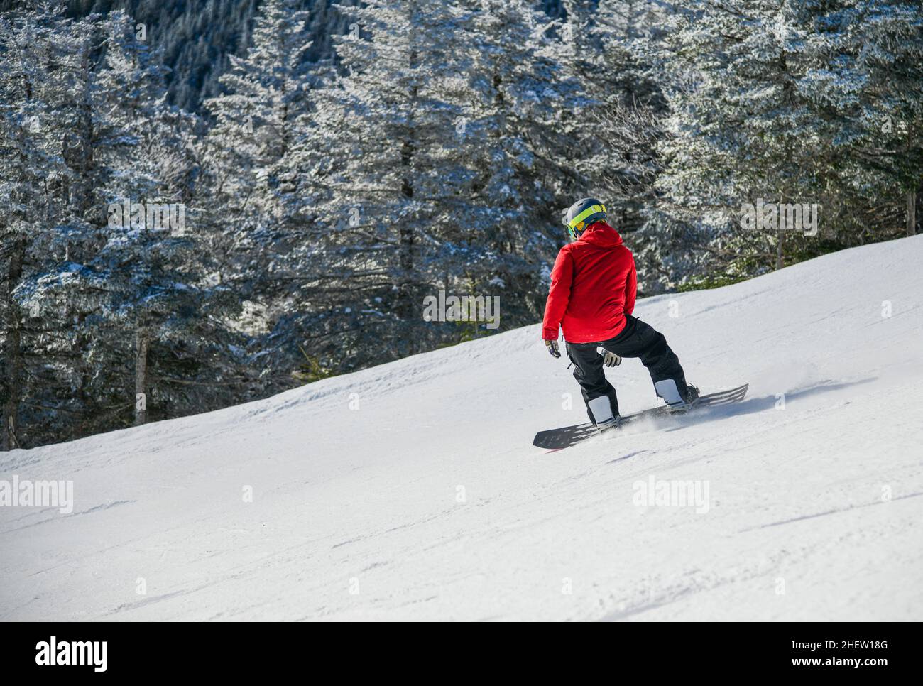Freeride ski and snowboard tracks in powder snow Stock Photo by salajean