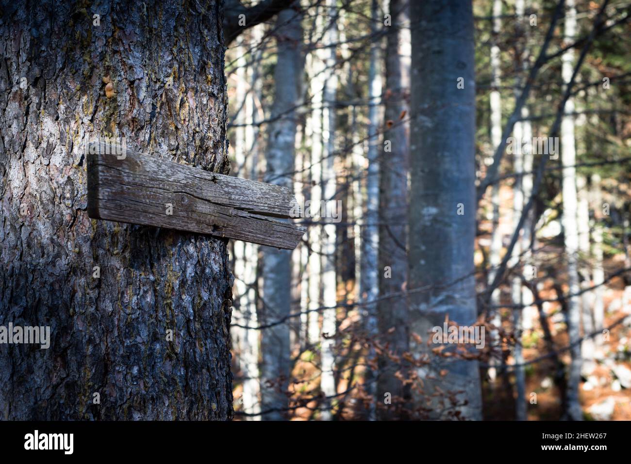Fall Direction Sign Wooden direction sign hi-res stock photography and images - Alamy