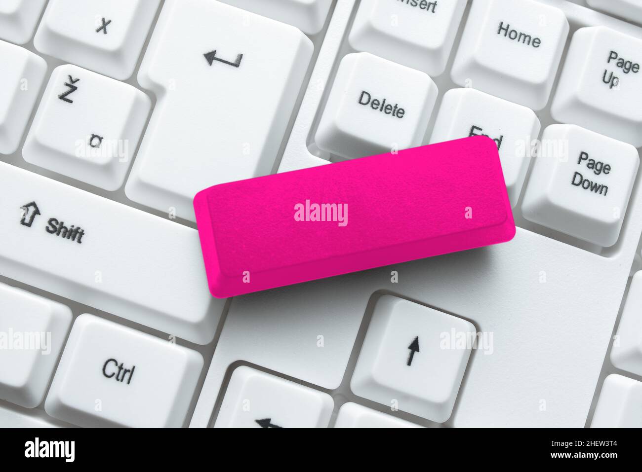 Typing Difficult Program Codes, Writing New Educational Book Stock