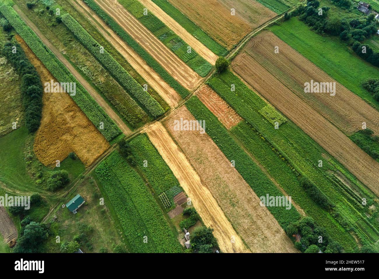 Aerial landscape view of green cultivated agricultural fields with ...