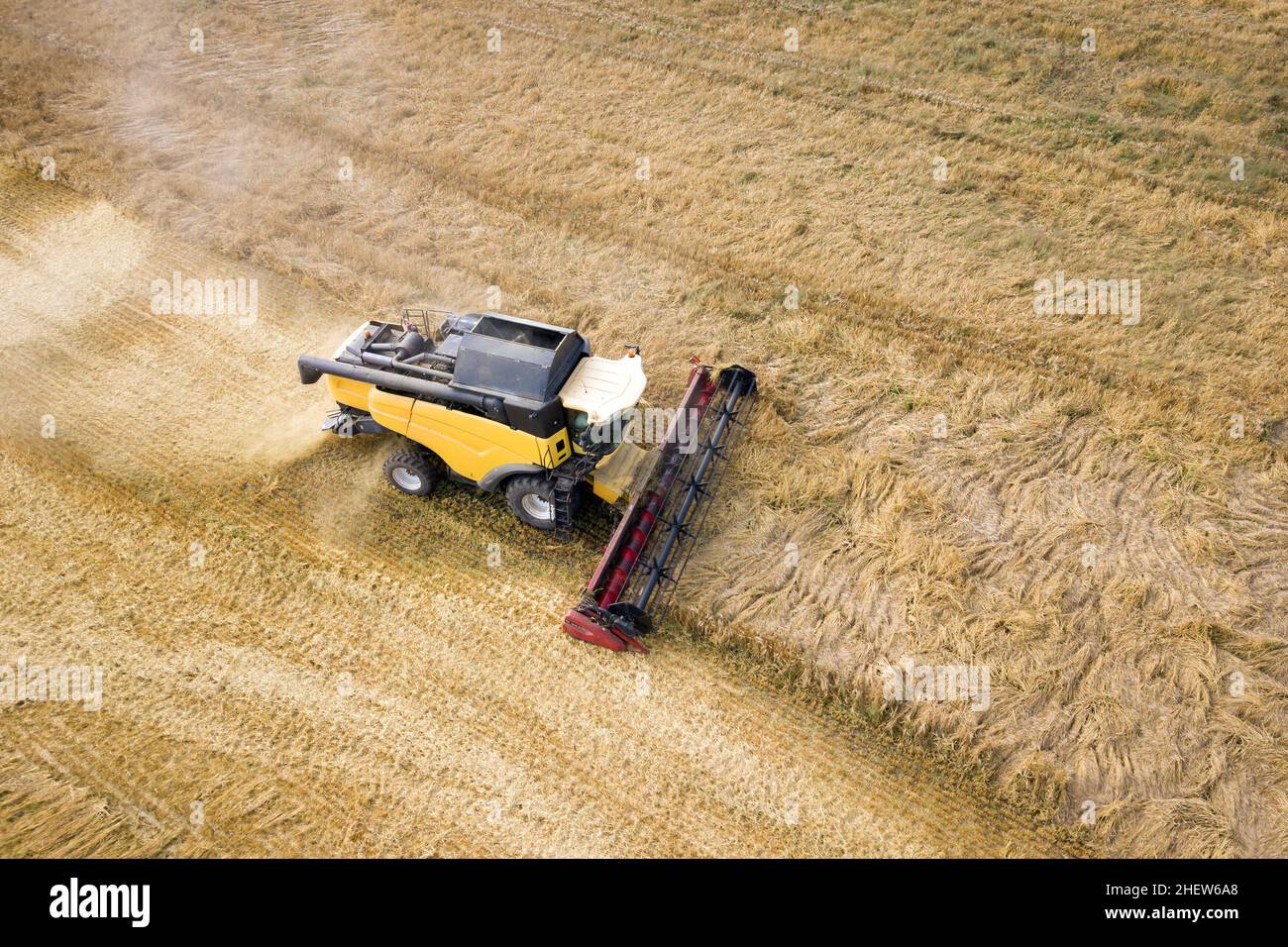 Aerial view of combine harvester harvesting large ripe wheat field ...