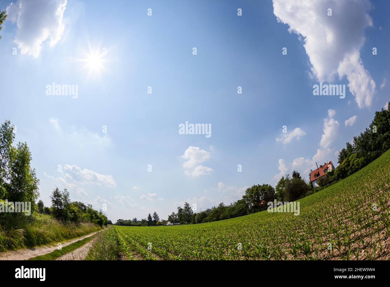 rural landscape with field and blue sky with fisheye Stock Photo - Alamy