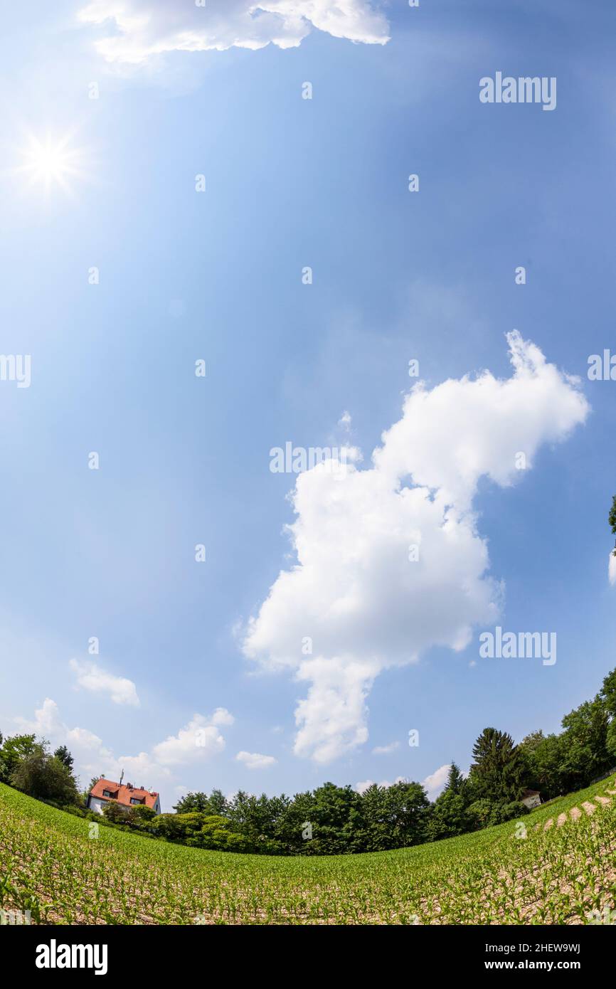 rural landscape with field and blue sky with fisheye Stock Photo - Alamy