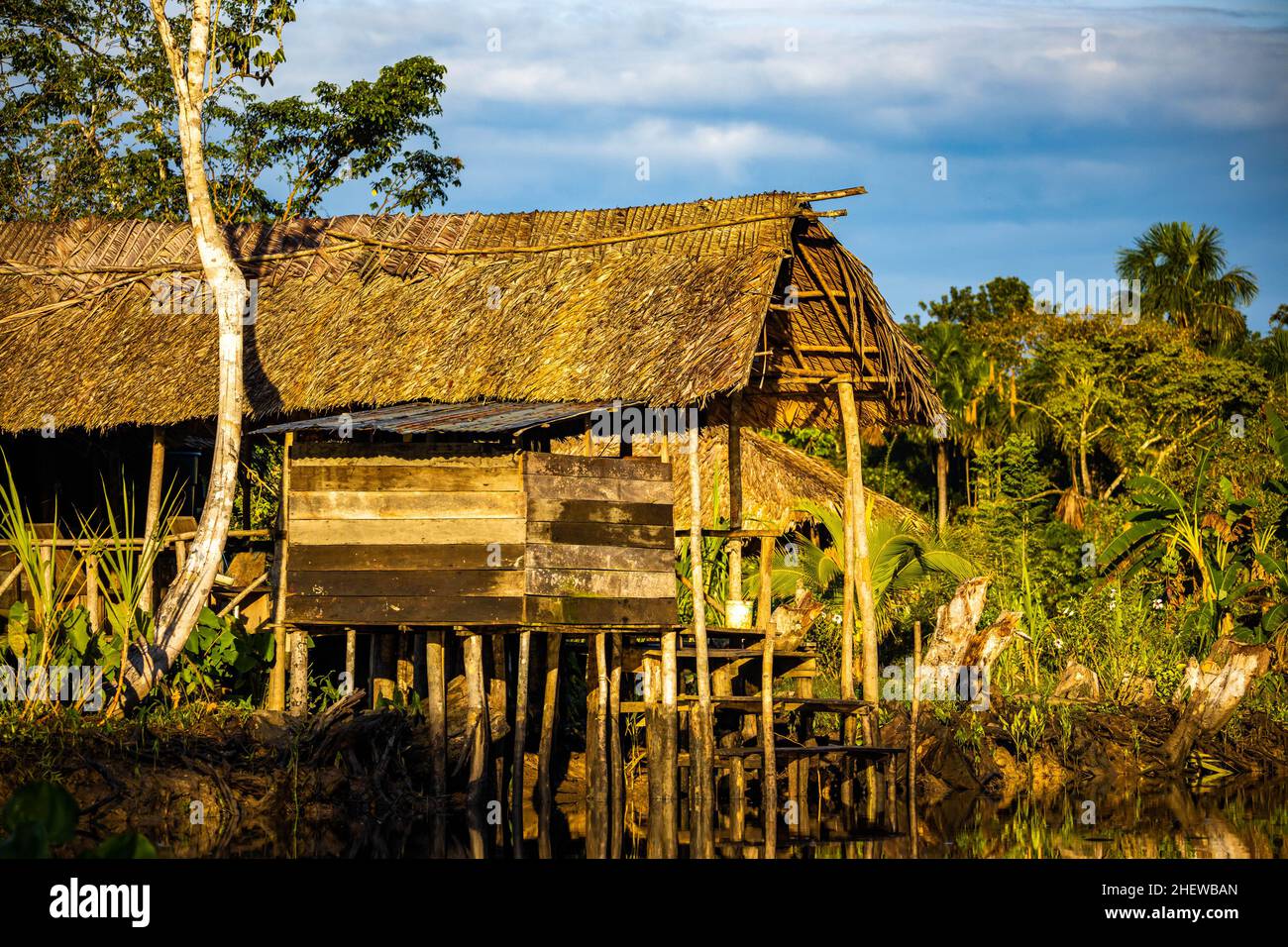 Tropical cabin in rainforest jungle with palm trees on river delta ...