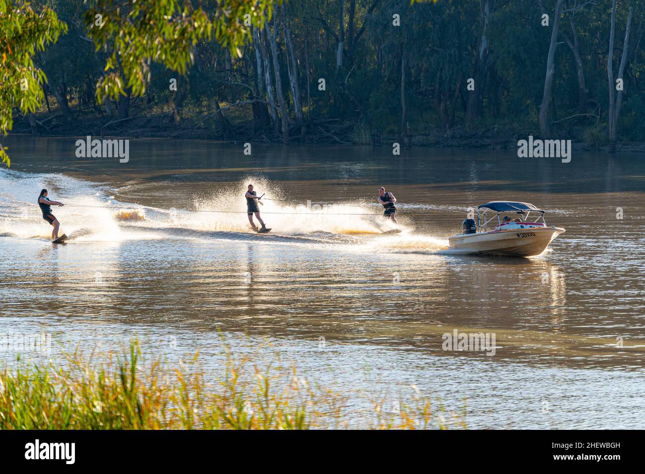 Waterskiers on Balonne River at St Queensland, Australia Stock