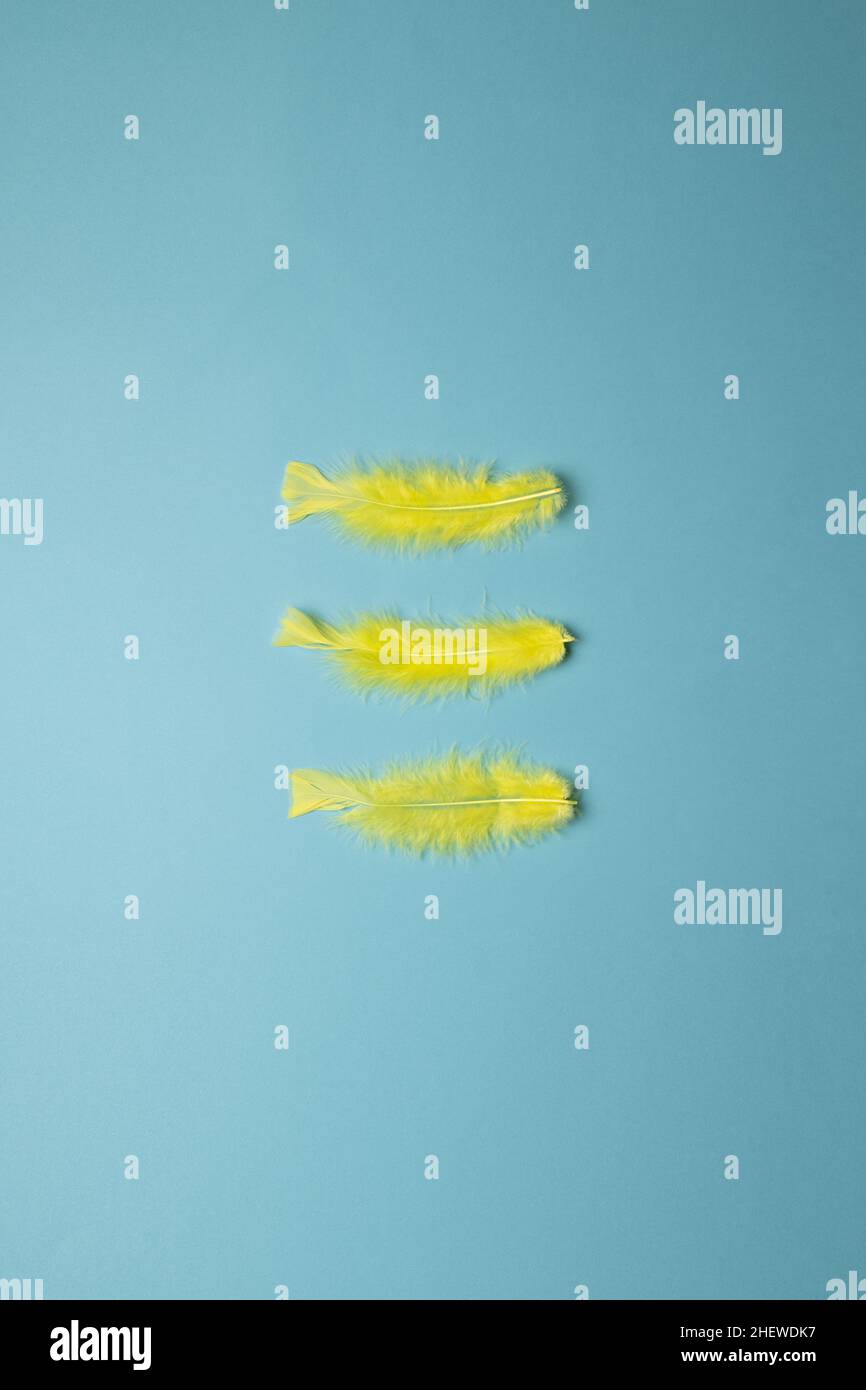 three yellow feathers vertically aligned on a blue background Stock Photo