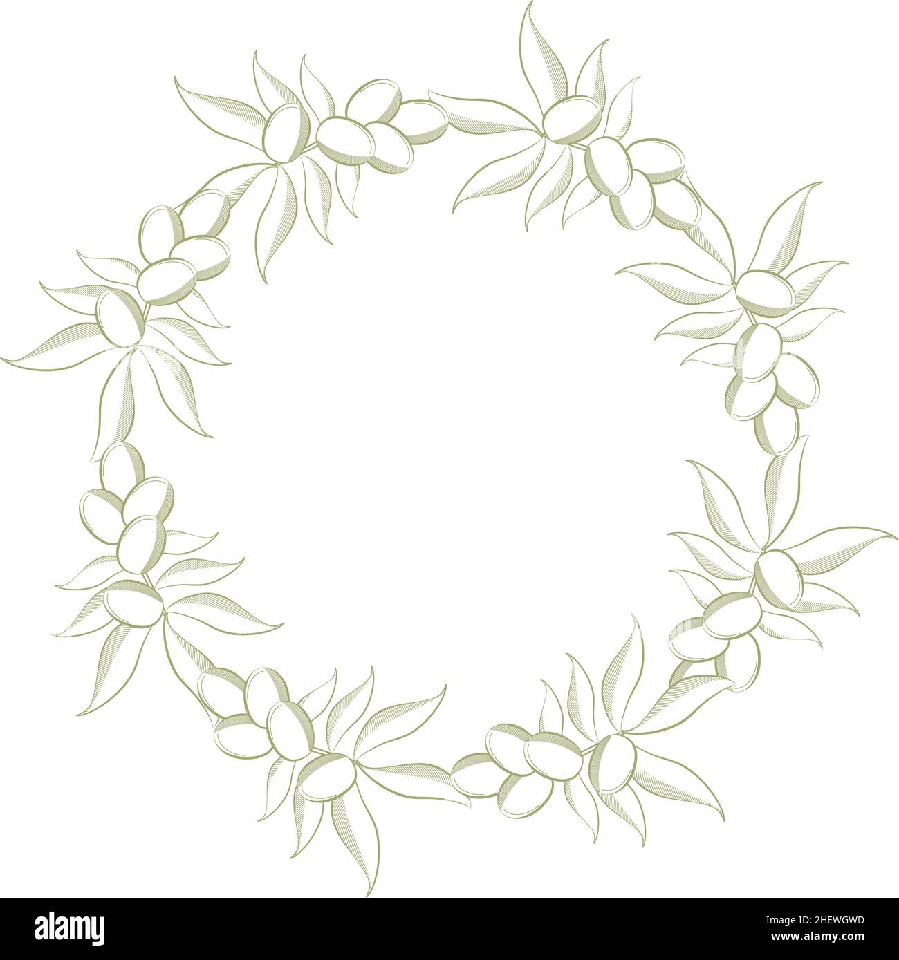 olive branch icon Stock Vector Image & Art - Alamy