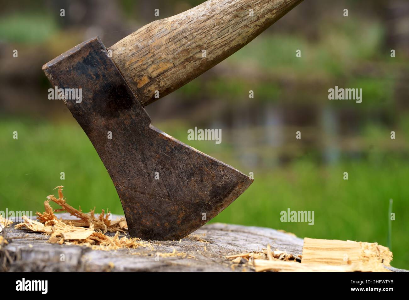 Old rusty axe with wooden handle stuck in the stump. blurred background with pile of wood logs, Large ax sticks out in felled wood of background of Stock Photo