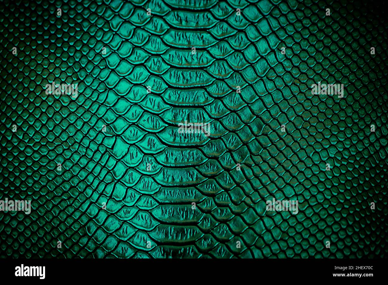 Close up of green Luxury snake skin texture use for background Stock ...