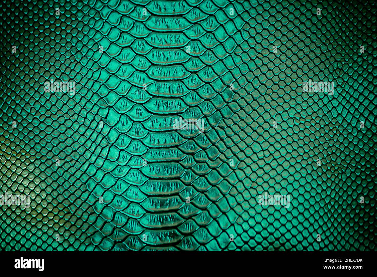 Close up of green Luxury snake skin texture use for background Stock ...
