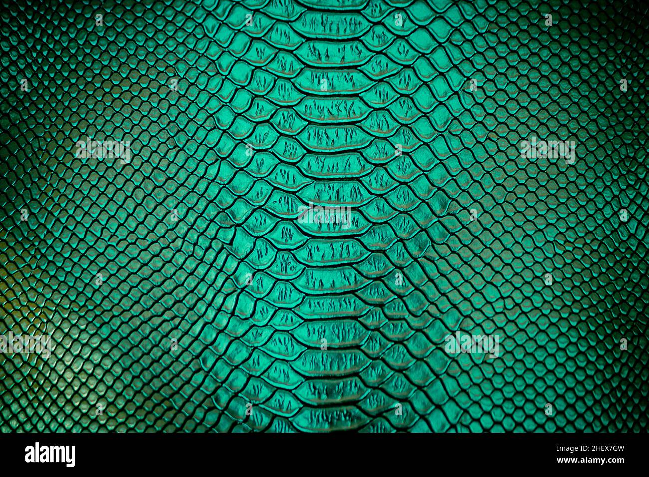 Close up of green Luxury snake skin texture use for background Stock ...
